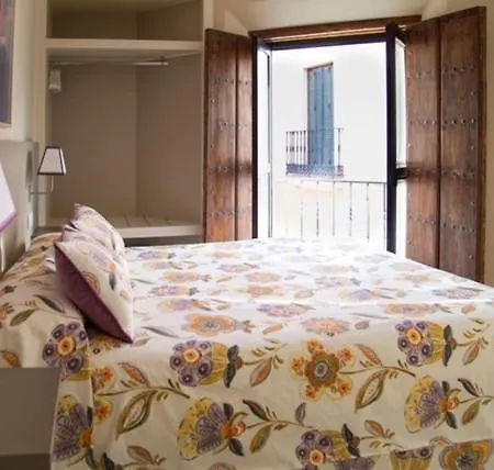 La Casa Del Pozo Santo Apartment *